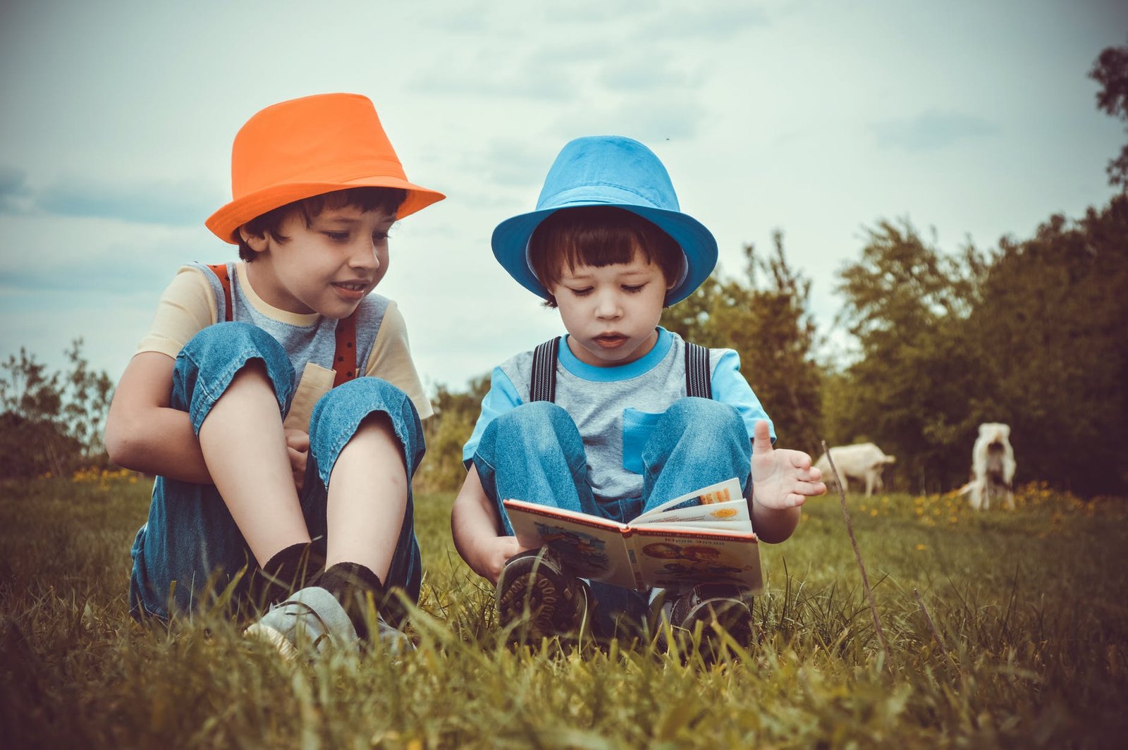 kids sitting on green grass field